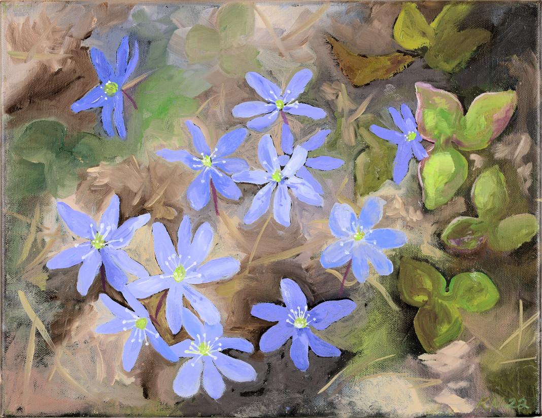 Kaisa Nyström: Mysteeri